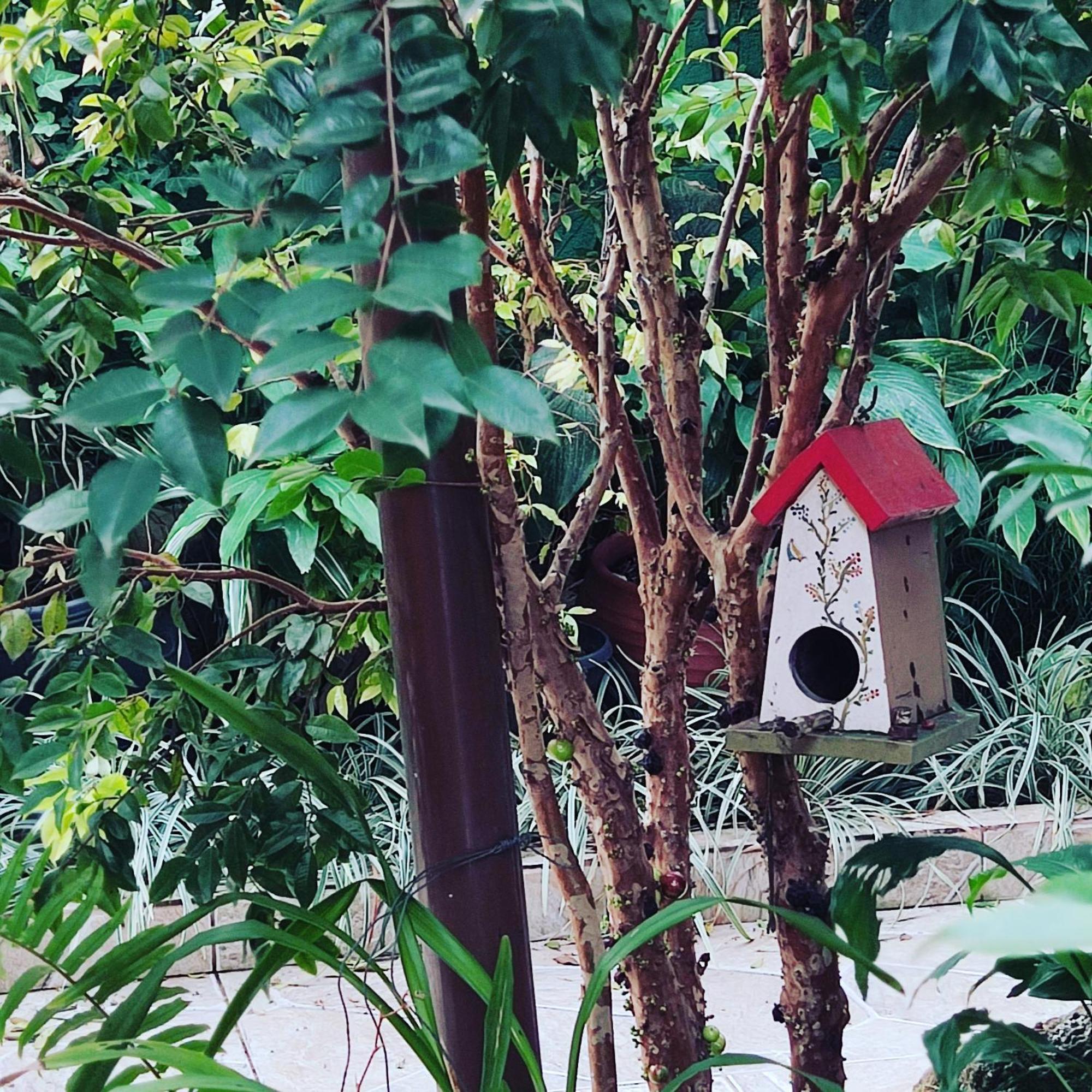 Recanto Toca Das Plantas De Ilhabela II Екстериор снимка