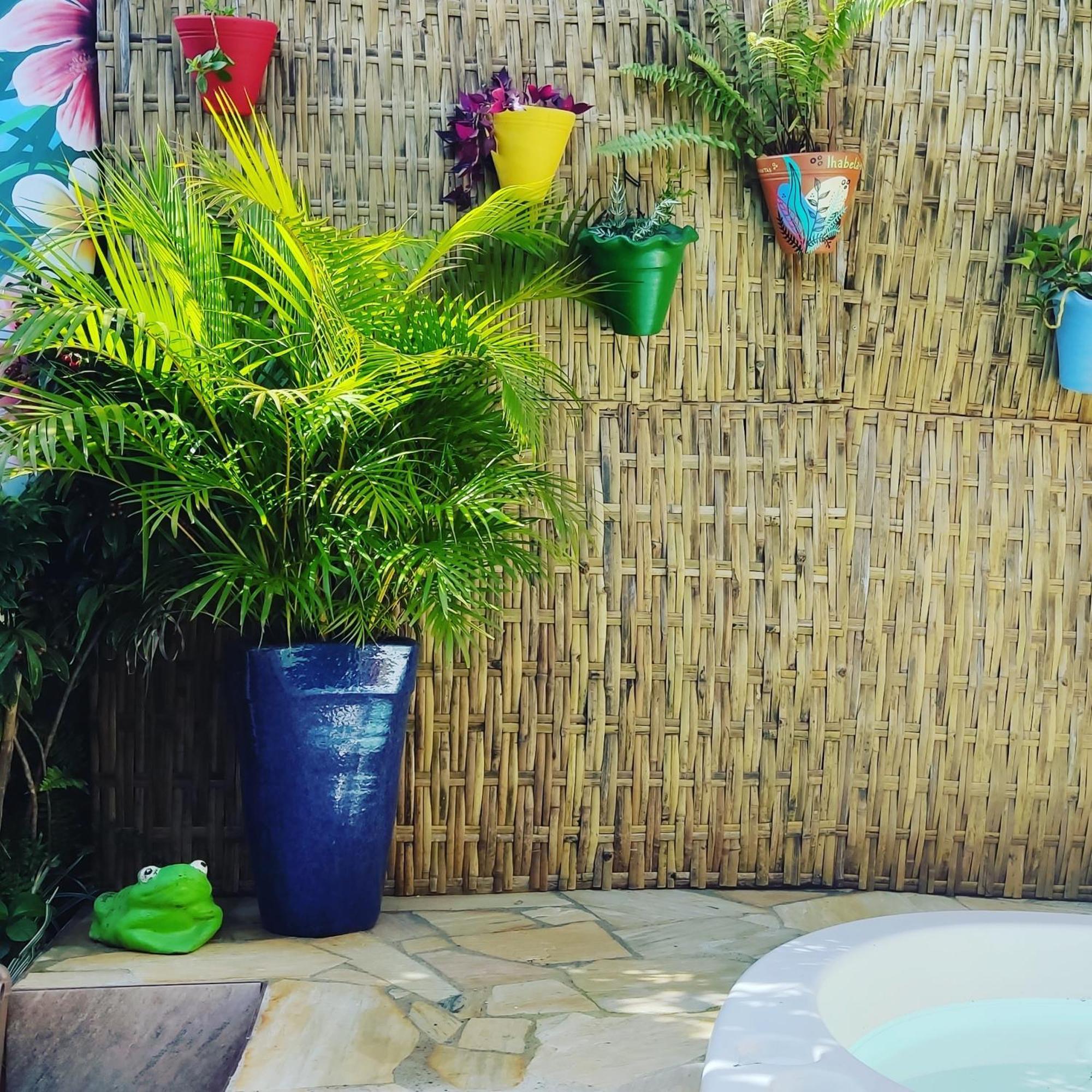 Recanto Toca Das Plantas De Ilhabela II Екстериор снимка