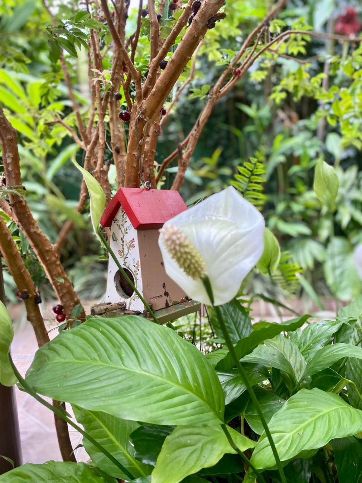 Recanto Toca Das Plantas De Ilhabela II Стая снимка